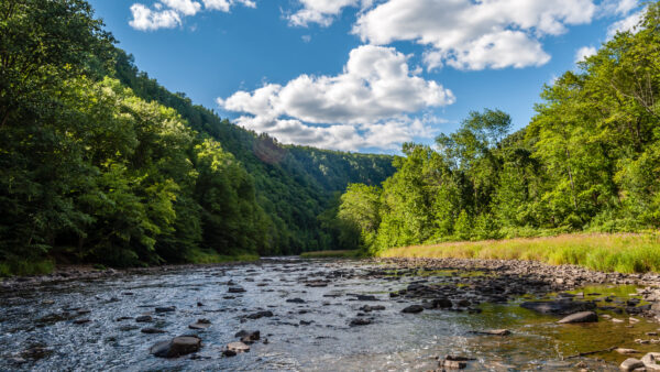 Stream Cleaning Bills Could Be the Key to Flood Prevention