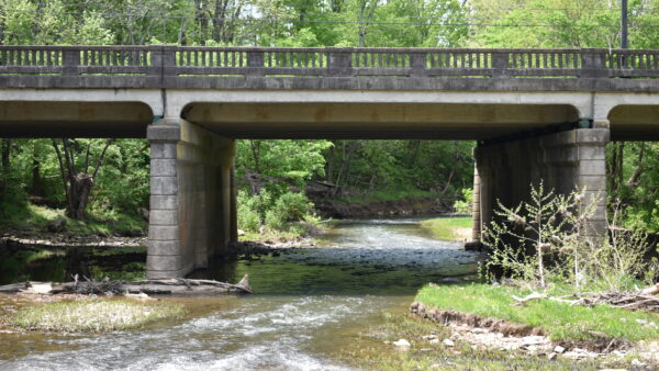 Yaw Stream Cleaning Bills Could Aid with Flood Prevention