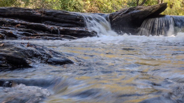 Stream Maintenance Key to Preventing Devastating Floods, Says Senate Majority Policy Committee